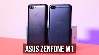 Asus Zenfone M1 và Zenfone 4 Max | Súp Heo