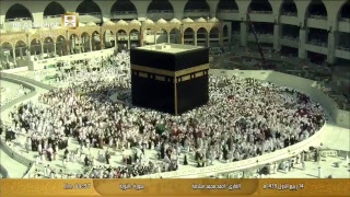 The Holy Quran Channel - Live Stream