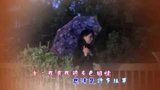 那裡的天空不下雨 Covered by 李麗娟 & Chhim