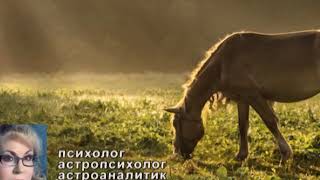 ГОРОСКОП   с 1 по 7 июля 2019