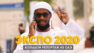 Expo 2020: выставка за $7 миллиардов. Большой репортаж о том, на что потратили.