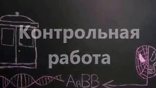 Сравнение 11 и 1 классов, Киземская школа, Последний звонок