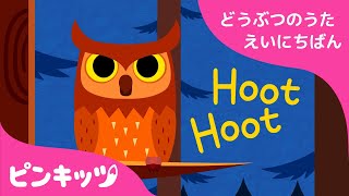 どうぶつのなきごえ | どうぶつのうた 英日版 | 子供向け英語の歌 | ピンキッツ童謡