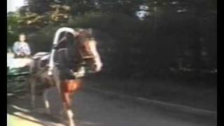 Живая вода, Валентина Савельева - 7 пятниц