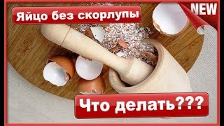Яйца без скорлупы, Что делать??? Как измельчить и приготовить кальций из яичной скорлупы