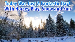 Today Was Just A Fantastic Day With Horsey Play Snow And Sun