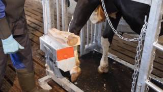 GDS Electric box