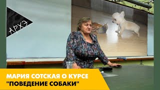 Мария Сотская: Курс "Поведение собаки"