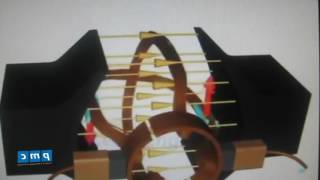 Động cơ điện một chiều kích từ song song