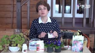 Как сохранить купленные цветы