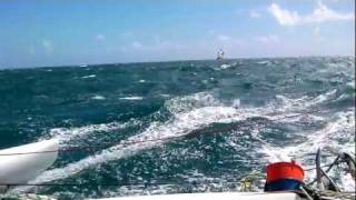 De Cayenne à La Martinique sur un trimaran Echo 36 de Dick Newick - Décembre 2011