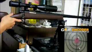 VSR-10 スコープ装備