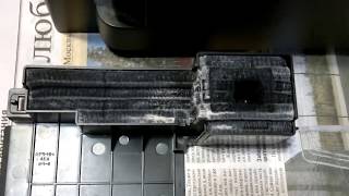 Epson XP как достать и промыть памперс (и ещё для 22-х моделей).