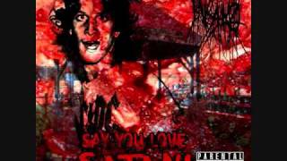 Insan0 - Say You Love Satan!