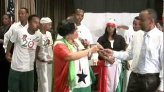 Somaliland minnesota 2011