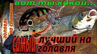 Не много размышлений на тему самый лучший воблер на голавля. Какой он? Топ 10 Воблеров на Голавля.