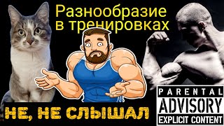 Голодный Барсик | Разнообразие в тренировках