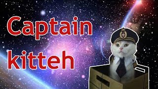 DANKEST CAT MEMES