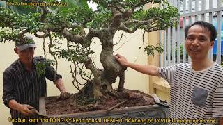 Ts133.Đột phá 1 TP TRỰC QUÁI  cho ANH  VANG thị trấn Hưng Hà TB
