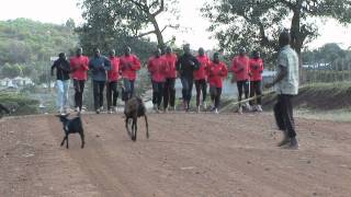 KIPSIRO 2