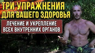 З упражнения излечивающие внутренние органы
