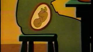 Infant Care and Feeding (Spanish)