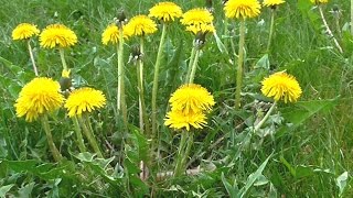 Как ВСЕ успевать по дому. СЕКРЕТЫ свободного время.