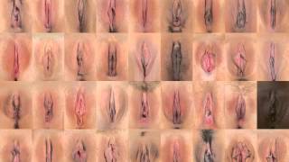 Anatomy basics focus on the clit