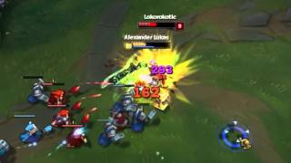 The real Poppy guide