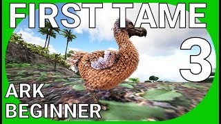 ARK SURVIVAL EVOLVED: Beginner Guide Part 3 | FIRST TAME AND MORE LEVELING