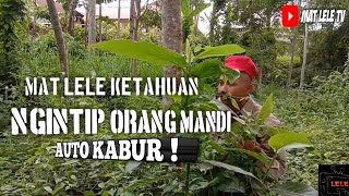 MAT LELE NGINTIP ORANG MANDI