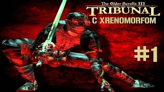 TES III: Tribunal #1 | Путешествие в Морнхолд