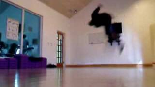 Cheat Gainer Fail.