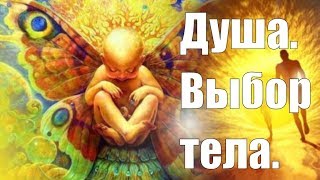 Человеческое тело для души - это подобно костюму. Любовь Новикова