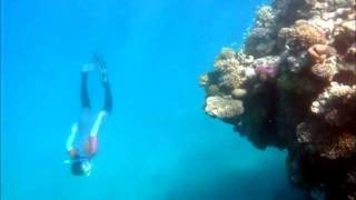 Snorkeling in Lahami Bay