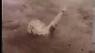 Classic Sesame Street - Quicksand (B&W silent film)