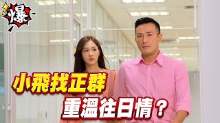《多情大爆爆》多情城市 EP261 小飛找正群 重溫往日情？