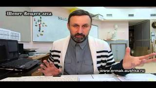 Значения имен по буквице 4 mpeg2video