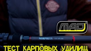 Тестирование новых карповых удилищ MAD (Morpheus, D-Fender, FCR, Backbone)