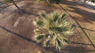 Why Don’t Pro FPV Pilots ever post UNCUT videos?