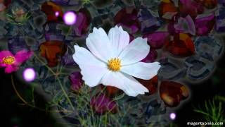 Your Birthday/Solar Return and the Cosmic Gateway (Spring Equinox 2013)