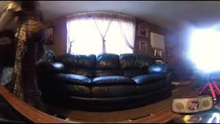 Cali babi twerking in VR!