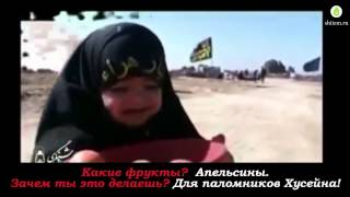 Девочка служит имаму Хусейну (а). Арбаин. По дороге в Кербелу.
