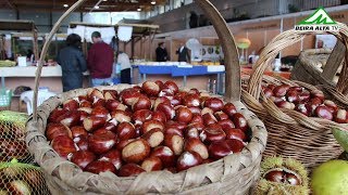 Feira da Castanha e Paladares de Outono em Trancoso