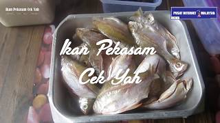 Ikan Pekasam Cek Yah