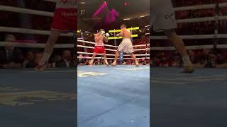 Canelo and GGG have GRANITE chins #shorts