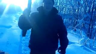 Чезет Маллард