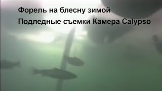 Форель на блесну зимой Подледные съемки Камера Calypso