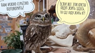 Распаковка растений из ГаденПлантс. Экспертное мнение сыча Лучика и Бубумена Артёма о бизнес плане