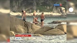 Russia shocked by shark attacks